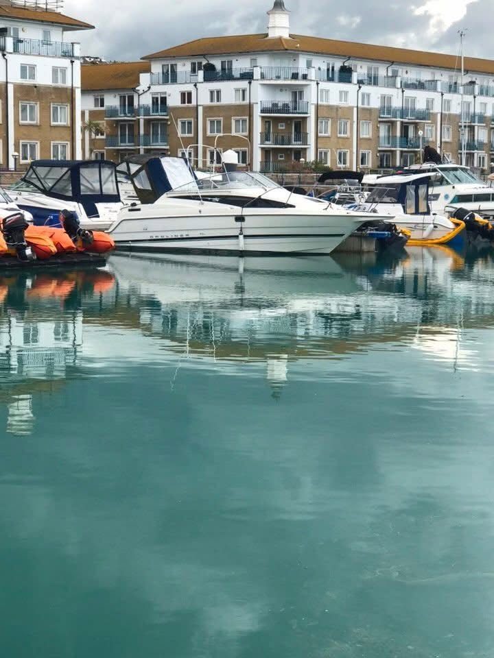 Bayliner 2655